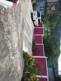 anthurium cabin - 2