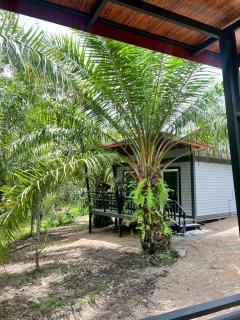 Palm tree garden house NinemintoAonangbeach - 7