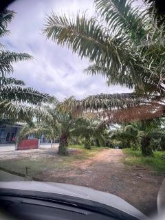 Palm tree garden house NinemintoAonangbeach - 4