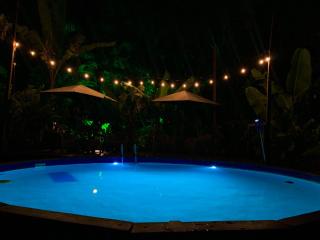 Los Bananos - Tiny Wood Cabin - 4