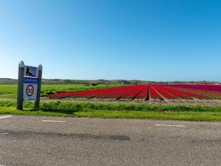 Apartment by the beach in Callantsoog - 3