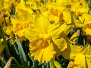 Apartment in Zoutelande near beach - 8