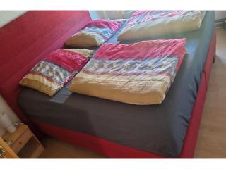 Gemütliches Ferienhaus mit Pool in Blankenburg - 3