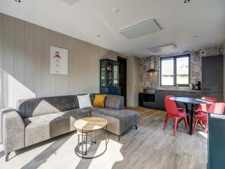 Modern holiday home on Dutch coast with garden - 4