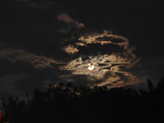 Vastness - Stay under the stars in Auroville - 3