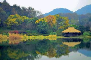 Han Xuan Boutique Hostel - 5