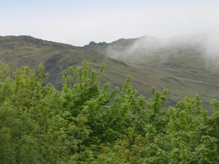 Glenmore Cottage - 7