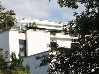 Near the beach II - 0