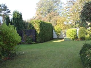 Near the beach II - 8