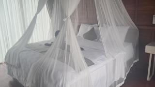 Eco-tourist Dream Cliff House - 2