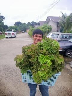 Pool Villa with 3 bedrooms - 4