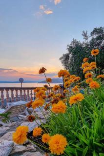 Apartments in Stara Baska - Island Krk 34416 - 3