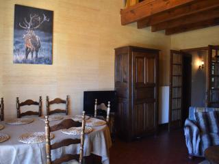 Duplex spacieux 8 pers. avec vue Pyrénées - FR-1-580-137 - 9