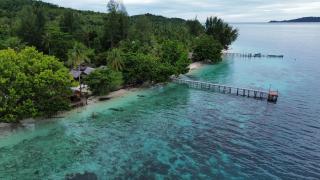 Saukabu Homestay - 4