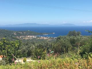 Agia Anna Apartments - Agia Anna - 5