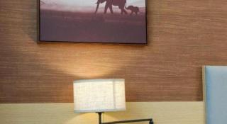 JTOUR Inn Yulin Railway Station Industrial Products Market - 2