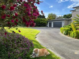 Tamahere Lifestyle - 7