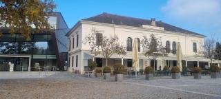 Oase Krems - Perle der Wachau - 4