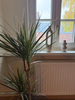 Wohlfühloase Goslar no 3 - 4