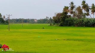 Happiness Villa and Yala Safari - 5