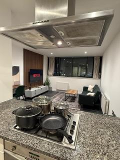 Luxury 2BR Apartment Great Views Free Parking - 4