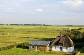 Charming Thatched Cottage - 1