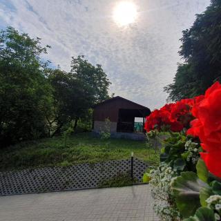 Pensiunea Nossa Panzió - 9