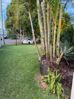 Pet Friendly 4 Bedroom Single Level Family Home - 2