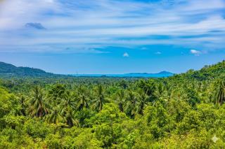 Archie s Paradise View - 2