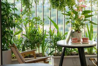 Ecopark Homestay, căn hộ studio, 1 ngủ, 2 ngủ đầy đủ tiện nghi - 7