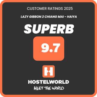 Lazy Gibbon 2 Chiang Mai - Haiya - 8