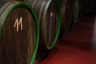 Weingut Loescher - Senheim - 3