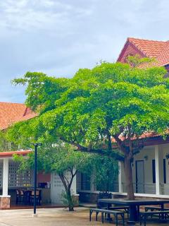 The Terrace Homestay Resort - 1