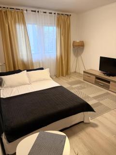 Apartament Densia in Craiova close to the center - 1