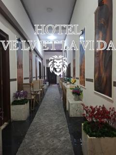 La vi da ve lv et - 7