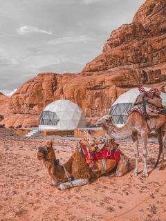 ALUNA lUXURY CAMP - 0