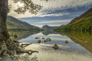Newlands Cottage is charming and pet-friendly - 6