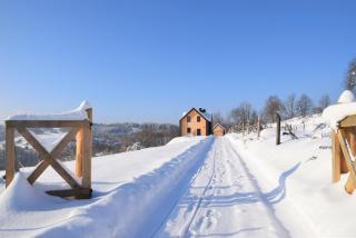 Osada Dzikie Wino - 8