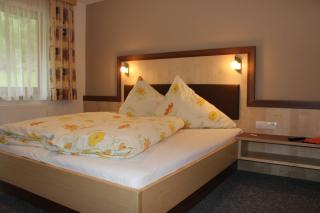 Haus Alpina & Landhaus Schöpf - 6