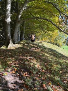 Wörle, Ferienhof - 4