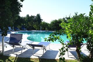 Agriturismo Gli Aranci dell'Etna - 5