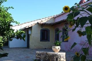 Agriturismo Gli Aranci dell'Etna - 3