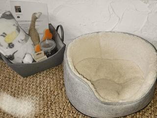 Elms Cottage - Sadberge - 1