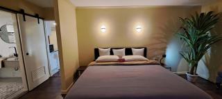 Newly Renovated in prime area - 2