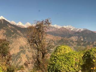 Munsiyari ECO homestay - 2