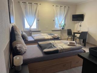 Pension am Görlitzbach - 9