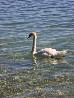 Avenue 15 Boudry Suites - 4