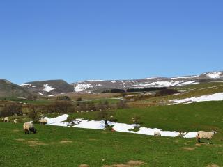 Sycamore Cottage - 1