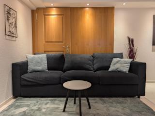 Renovierte Wohnung in 8903 Birmensdorf - 1