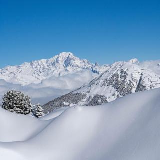 Studio cosy La Plagne 1800 - 4pers - 300m pistes - 7